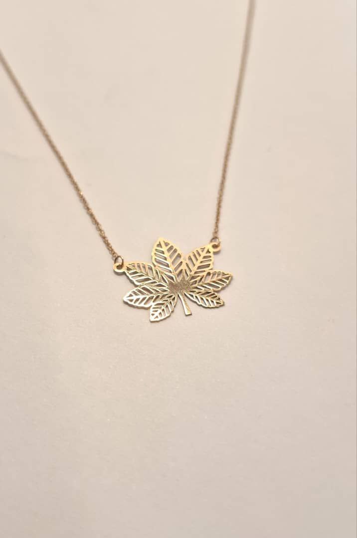 photo_2025-11-22_17-08-09